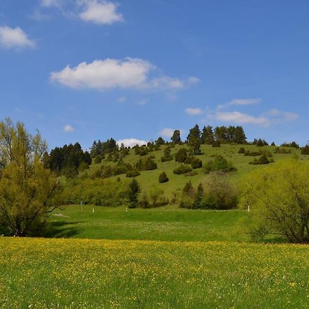 Casa Wiesenblick Nuertingen Exteriör bild